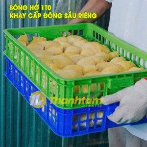 Sóng hở 1T0 - Khay cấp đông sầu riêng edited khay cap dong sau rieng 1t0