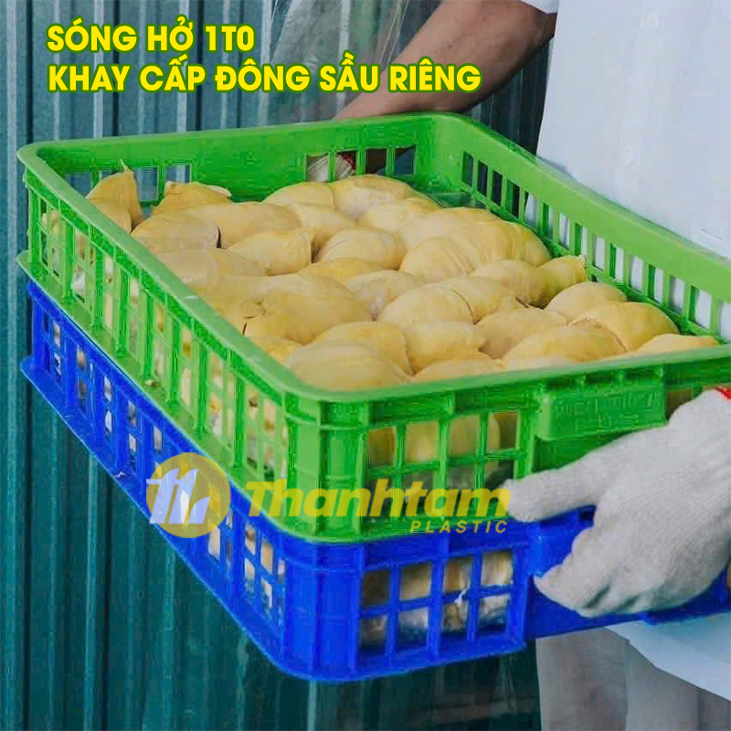 Sóng hở 1T0 - Khay cấp đông sầu riêng khay cấp đông sầu riêng