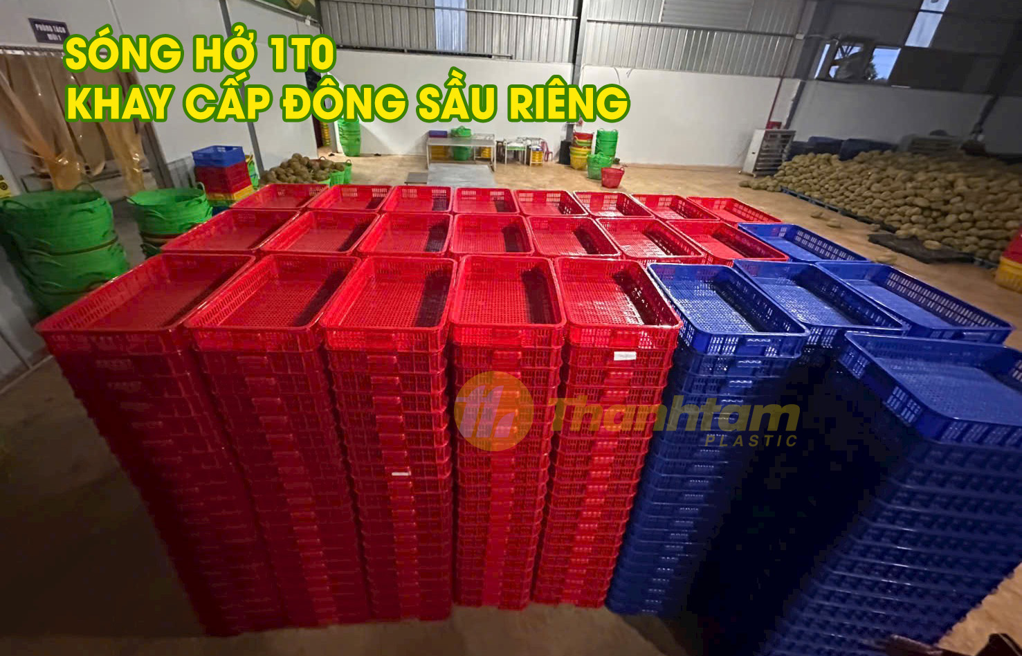 Sóng hở 1T0 - Khay cấp đông sầu riêng sóng hở 1t0