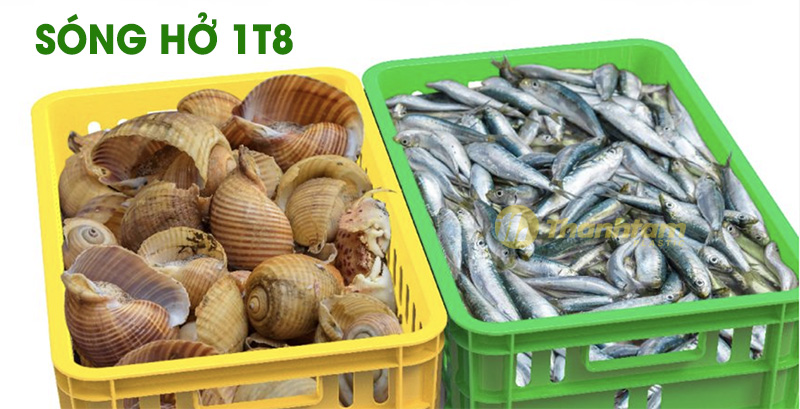 ứng dụng Sóng hở 1T8