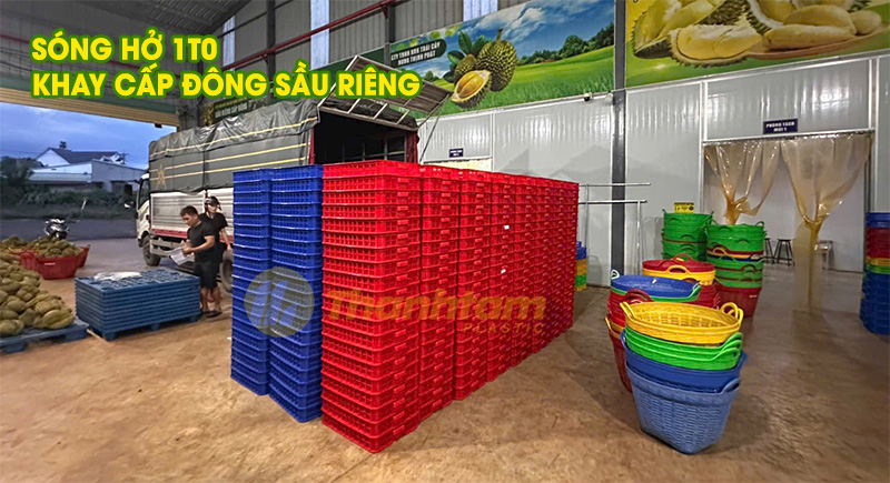 Sóng hở 1T0 - Khay cấp đông sầu riêng sóng hở 1t0