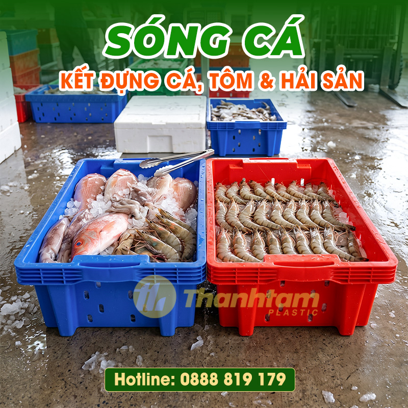Top 10+ Rổ Nhựa Công Nghiệp Chính Hãng, Bền Đẹp Giá Rẻ Sóng cá – Khay đựng cá, két nhựa đựng cá