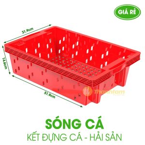 Sóng cá – Khay đựng cá