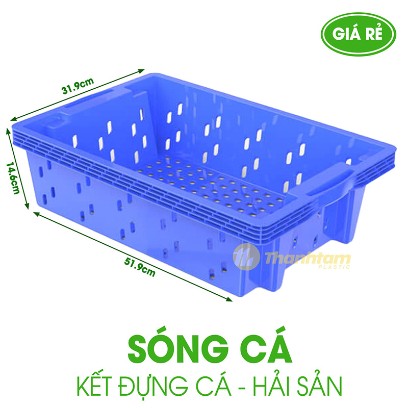 Sóng Cá - Khay đựng Cá Sóng cá – Khay đựng cá