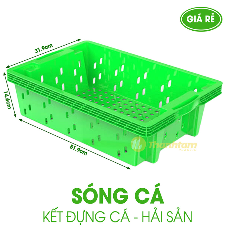 Sóng Cá - Khay đựng Cá Sóng cá – Khay đựng cá